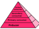 Ecological pyramid