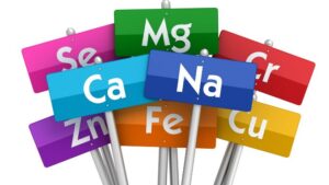 Components of food: Minerals