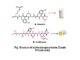 Storage proteins