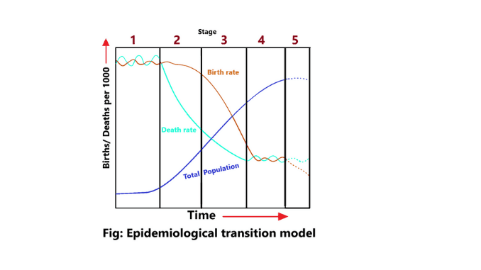 epidemiological transition model