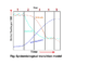 epidemiological transition model