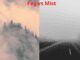 Fog vs mist