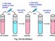 serial dilution method