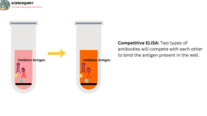 Competitive ELISA