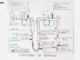 Nephron Function