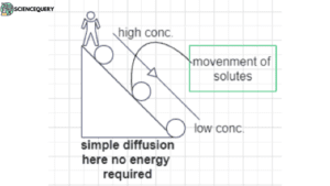 Simple diffusion