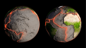 Fault Lines