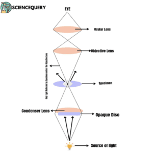 microscope condenser