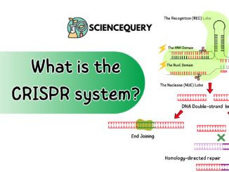 CRISPR Gene Editing
