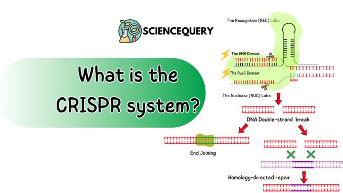CRISPR Gene Editing