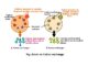 Anion exchange vs cation exchange